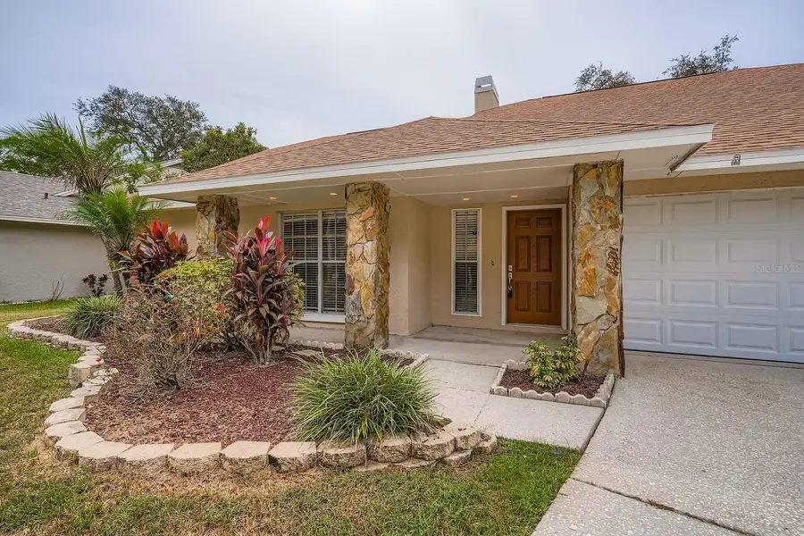 6226 Eaglebrook Avenue, Tampa, FL 33625 - Image #3