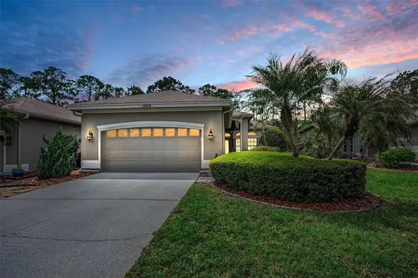 1502 Woodstream Drive, OLDSMAR, FL 34677