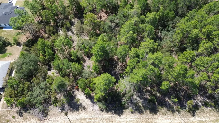 3848 W Keene Lane, Citrus Springs, FL 34433 - #2