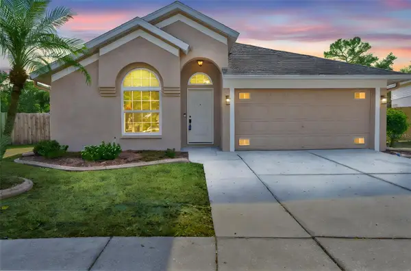 1719 Scotch Pine Drive, BRANDON, FL 33511