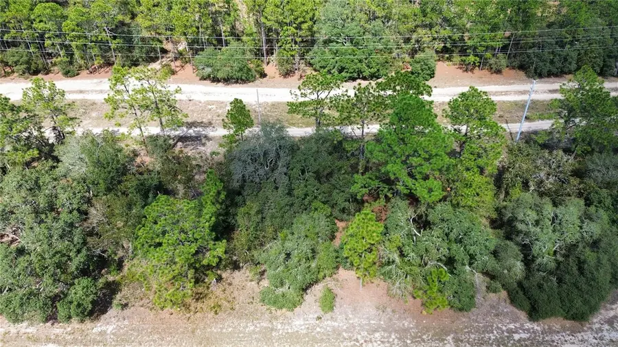 3341 W Wilhelm Street, Citrus Springs, FL 34433 - Image #2