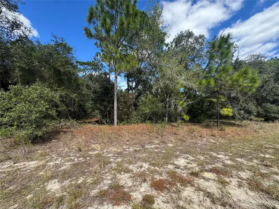 3341 W Wilhelm Street, Citrus Springs, FL 34433 - Image #3