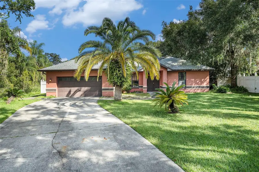 23211 Dover Drive, Land O Lakes, FL 34639 - Image #2