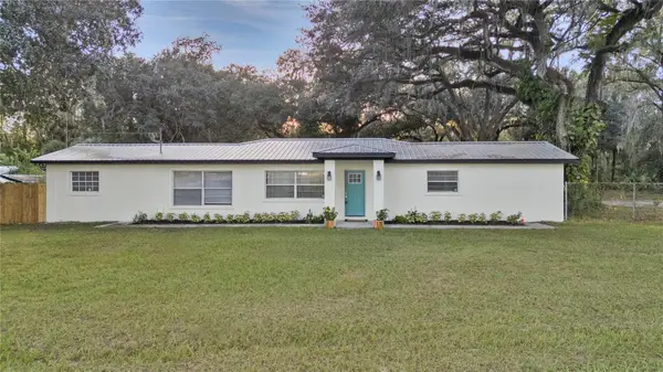 4905 Nesmith Road, PLANT CITY, FL 33567