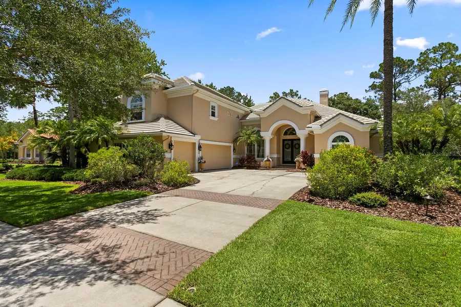 16423 Burniston Drive, Tampa, FL 33647 - Image #2