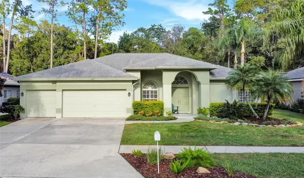 4405 Worthington Circle, PALM HARBOR, FL 34685