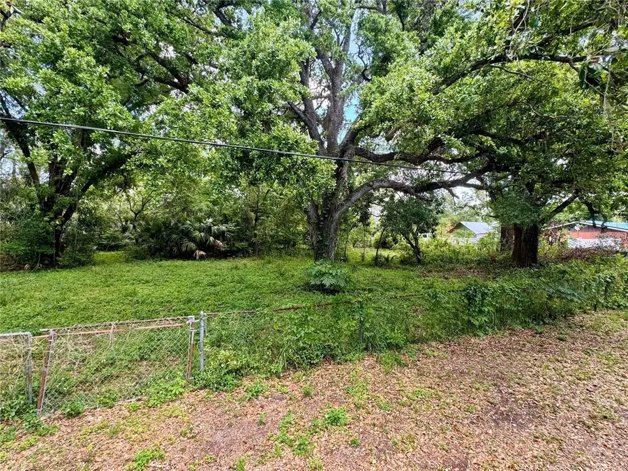 8715 N Temple Avenue, Tampa, FL 33617 - Image #2