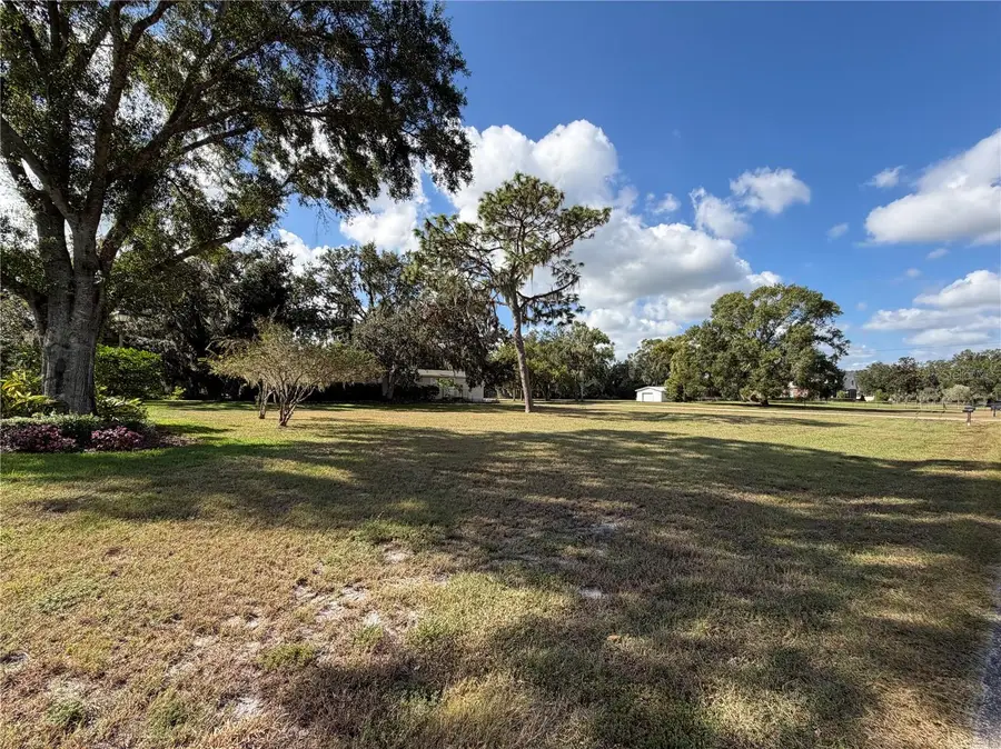 19017 Red Bird Lane, Lithia, FL 33547 - Image #3
