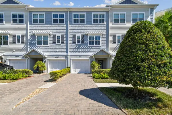 4065 Rocky Shores Drive, TAMPA, FL 33634