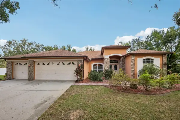 3701 Barnhouse Place, VALRICO, FL 33596
