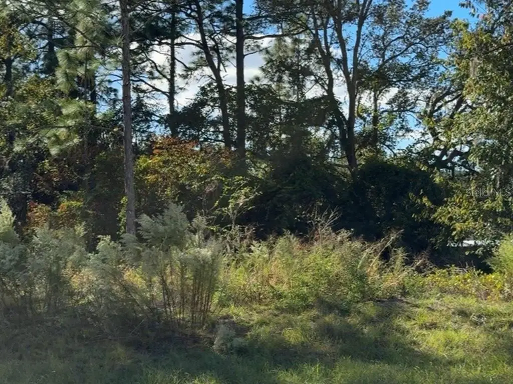 7800 N Primrose Drive, Citrus Springs, FL 34434 - Image #1