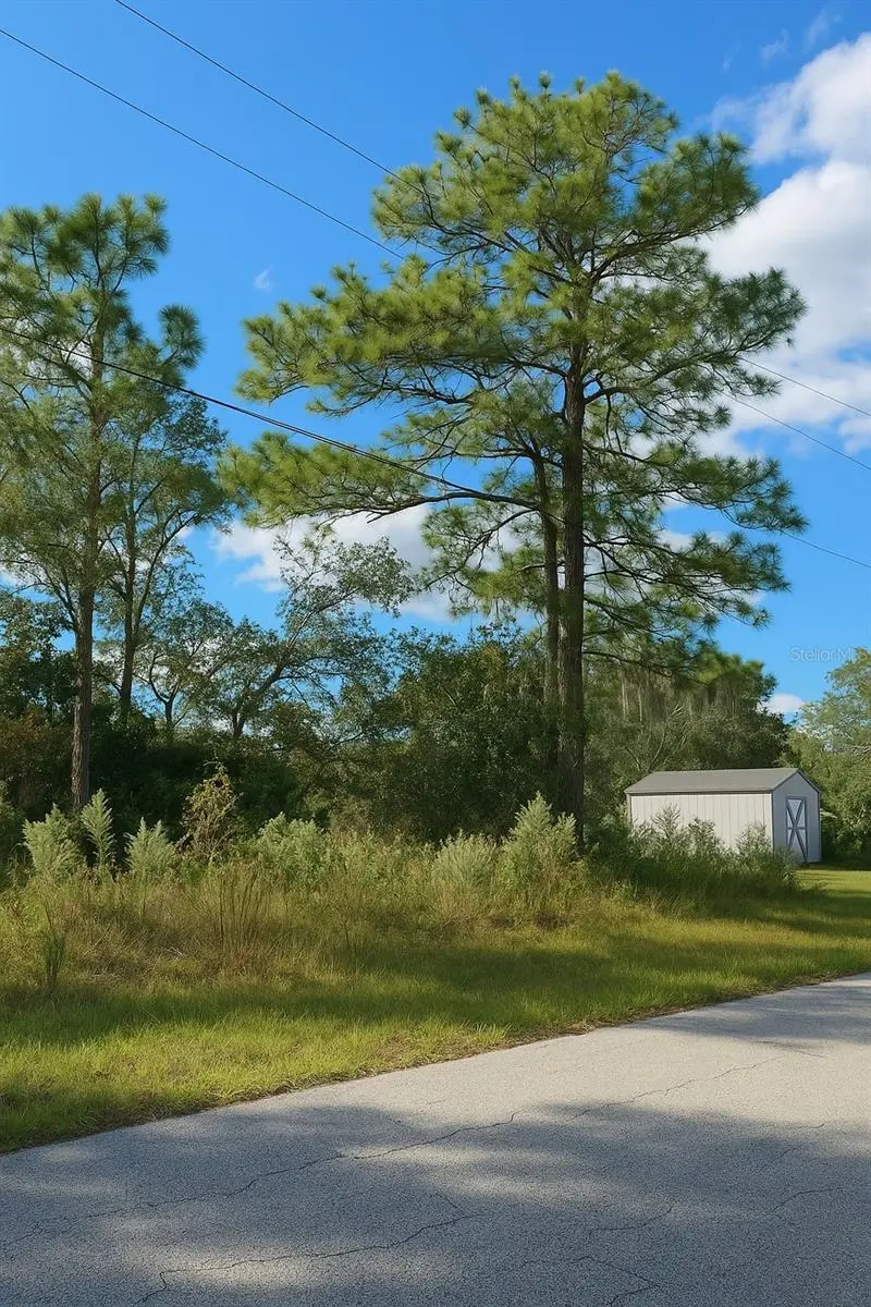 7800 N Primrose Drive, Citrus Springs, FL 34434 - Image #2