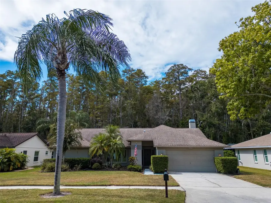 3238 Glenridge Drive, Palm Harbor, FL 34685 - Image #3