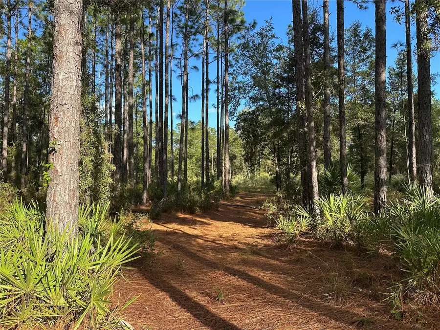 Address Withheld By Seller, Beverly Hills, FL 34465 - #2