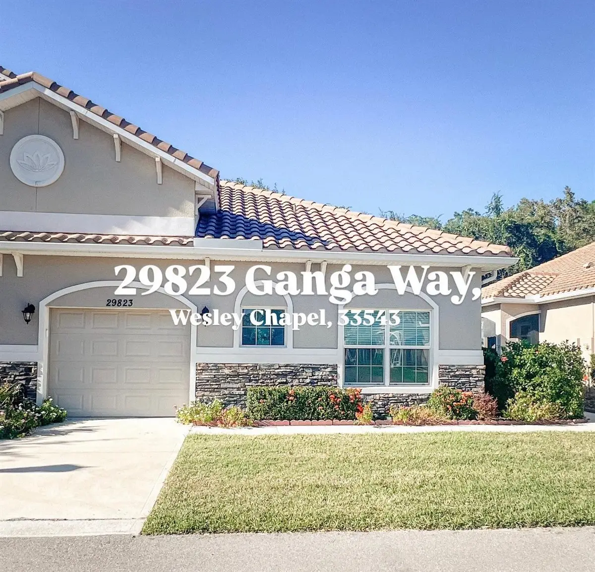 29823 Ganga Way, Wesley Chapel, FL 33543 - Image #1