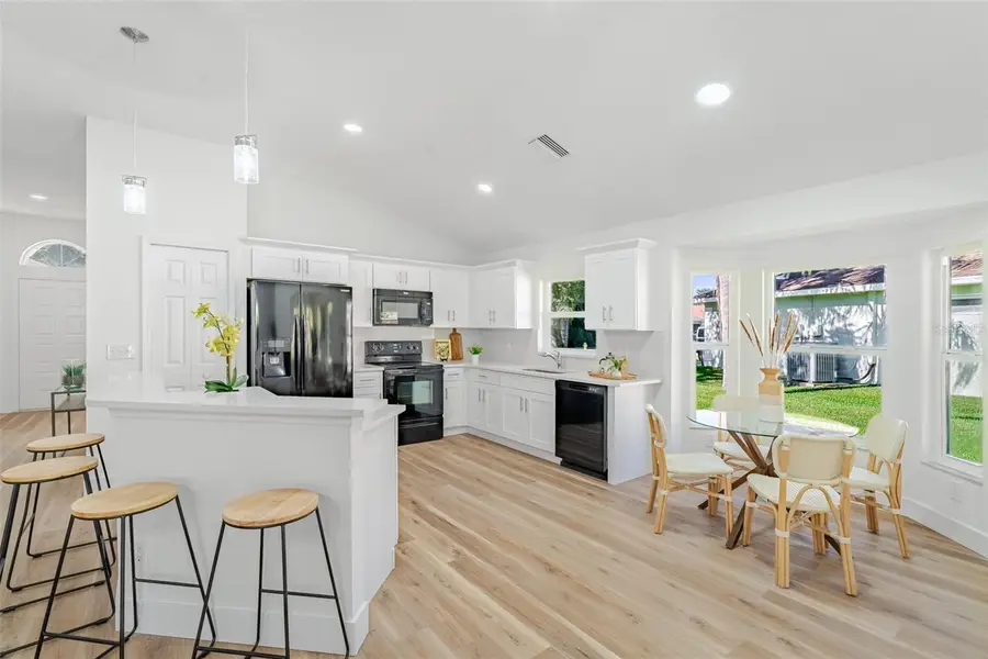 315 Tavernier Drive, Oldsmar, FL 34677 - Image #3