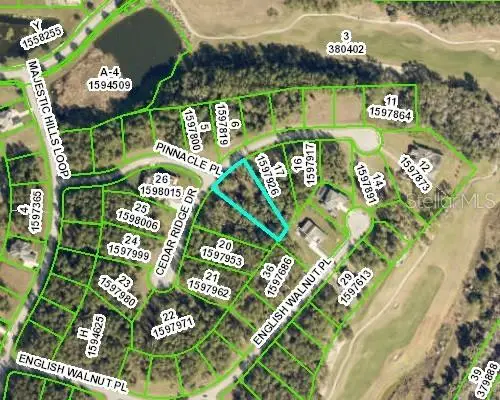 5104 Cedar Ridge Drive, Brooksville, FL 34601 - Image #3