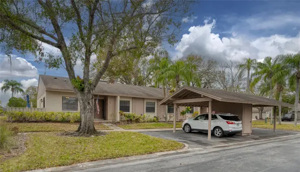 20 Sylvia Place, OLDSMAR, FL 34677