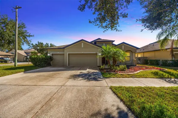 9804 Carr Road, RIVERVIEW, FL 33569