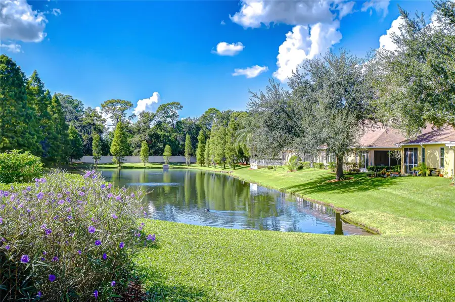 3610 Savannah Lake Place, Valrico, FL 33596 - Image #3