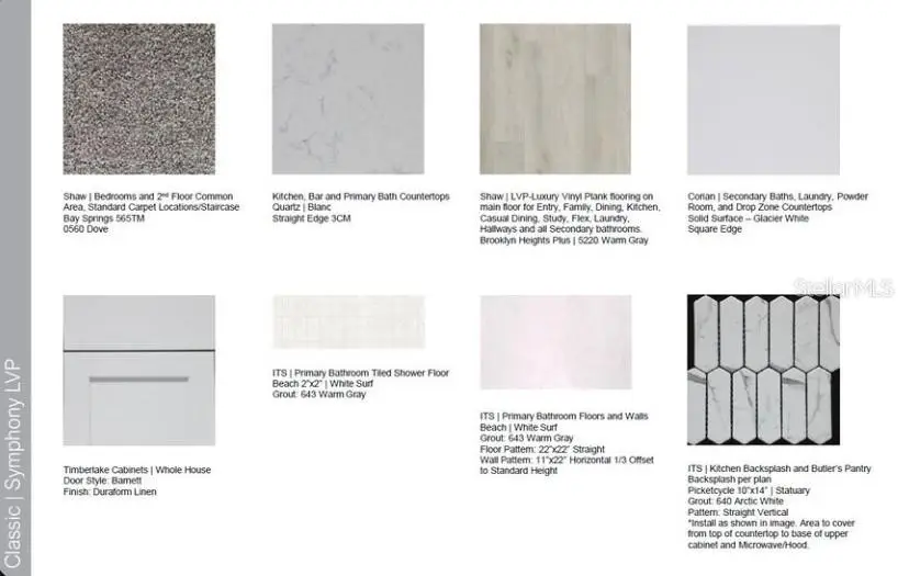 3885 Consolare Court, Wesley Chapel, FL 33543 - Image #3