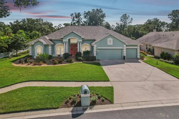 4703 Stone Hollow Court, VALRICO, FL 33596