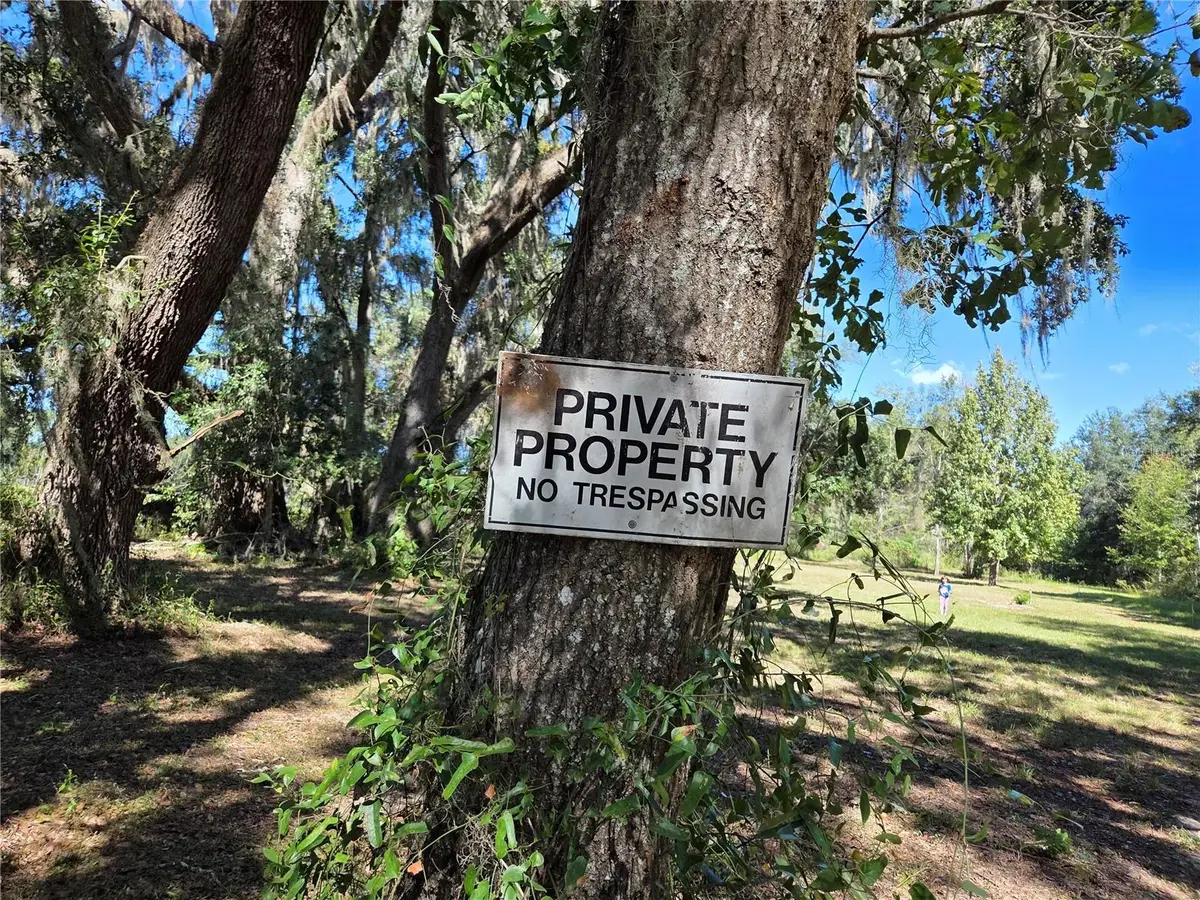 3199 168th Street, Wellborn, FL 32094 - Image #1