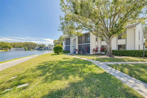 1143 Pine Ridge Circle W #C1, TARPON SPRINGS, FL 34688