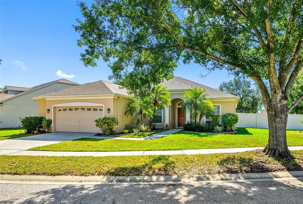11749 Summer Springs Drive, Riverview, FL 33579 - Image #1