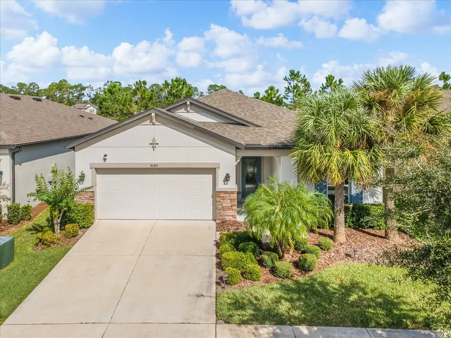 30415 Caravelle Lane, Wesley Chapel, FL 33545 - Image #2