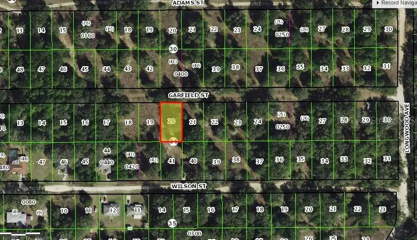 2307 Garfield Street, Inverness, FL 34453 - Image #3