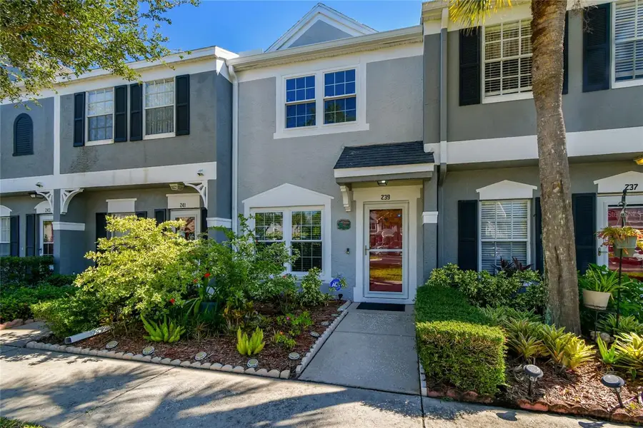 239 Countryside Key Boulevard, Oldsmar, FL 34677 - Image #2