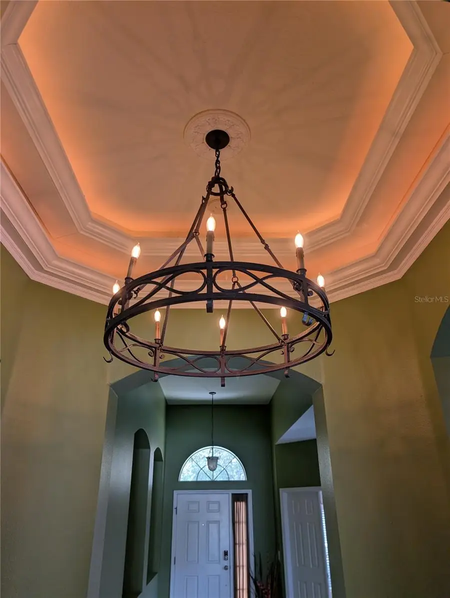 7343 Forest Mere Drive, Riverview, FL 33578 - Image #2