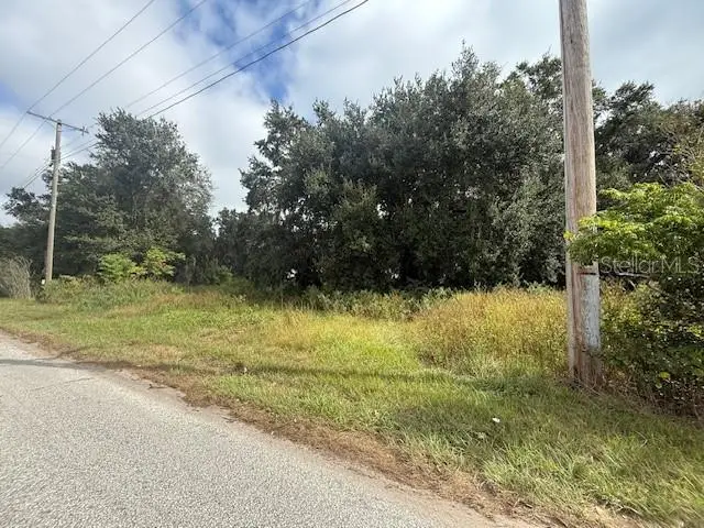 4202 Drawdy Road, Plant City, FL 33567 - Image #3