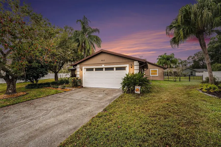 643 Satinleaf Avenue, Oldsmar, FL 34677 - Image #2