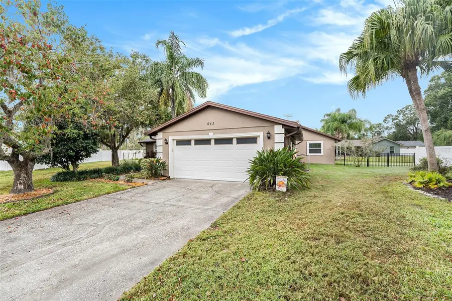 643 Satinleaf Avenue, Oldsmar, FL 34677 - Image #3