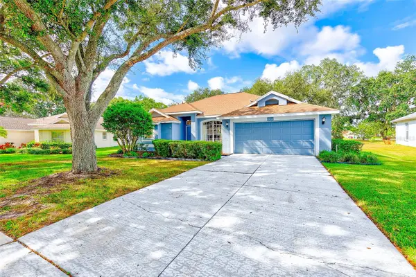 3454 Silver Meadow Way, PLANT CITY, FL 33566