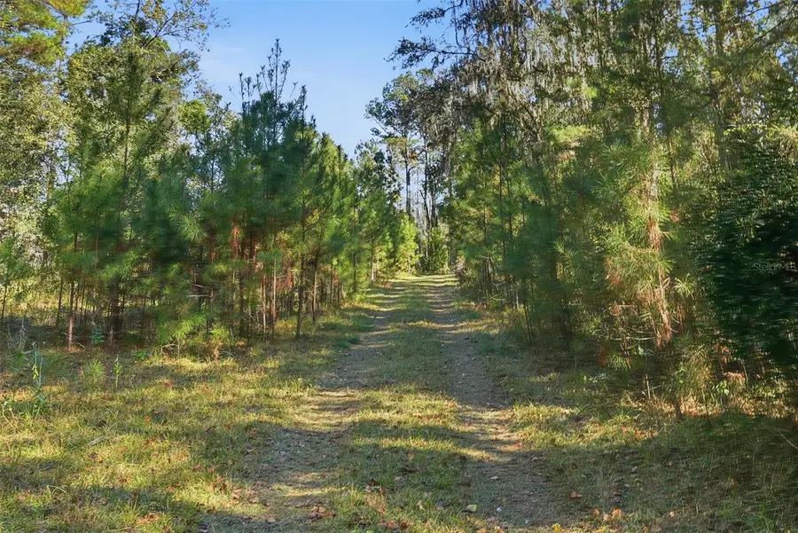 Sw Paradise Way Sw, Greenville, FL 32331 - Image #2