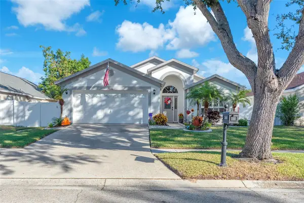 2616 Vinedale Avenue, VALRICO, FL 33596