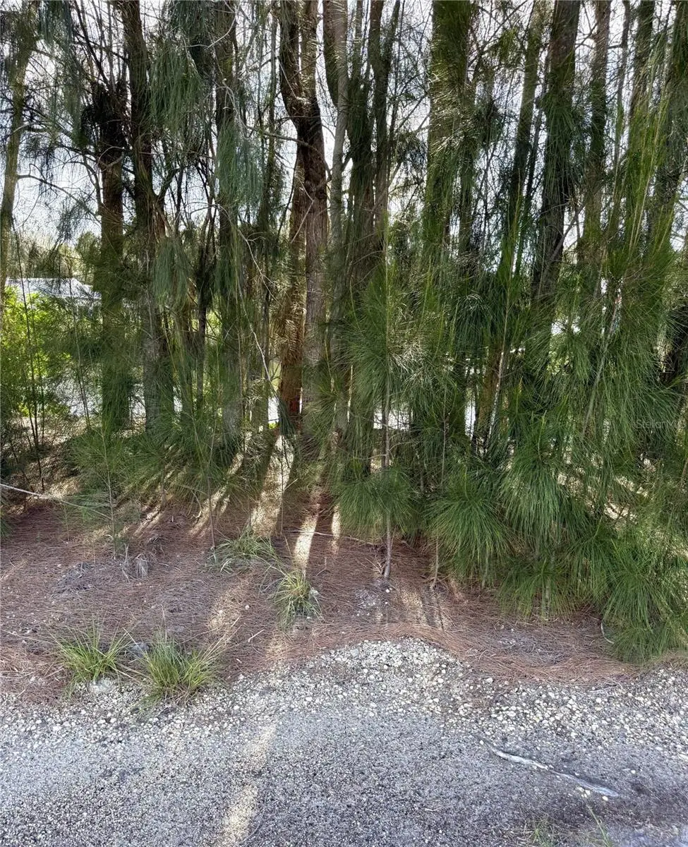 0 Jills Lane, Aripeka, FL 34679 - Image #1