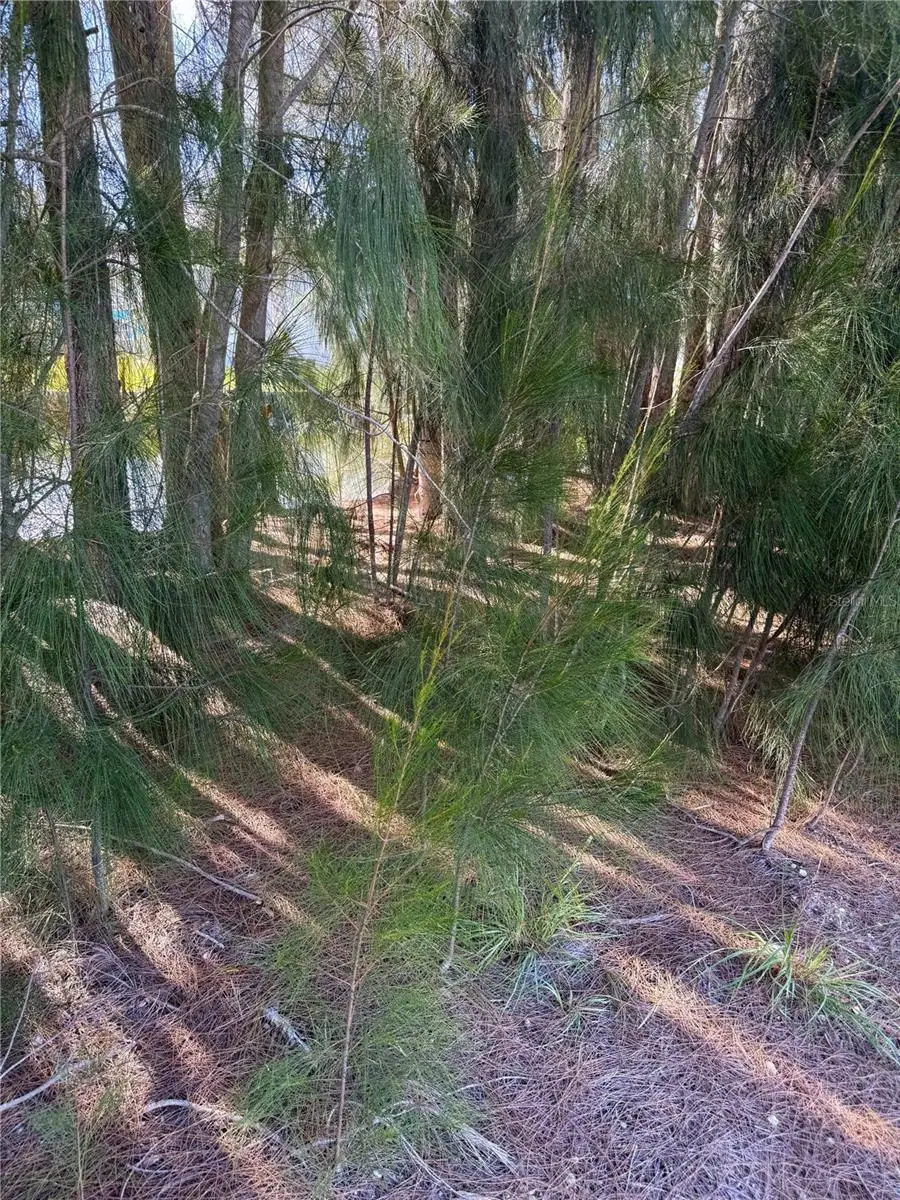 0 Jills Lane, Aripeka, FL 34679 - Image #3