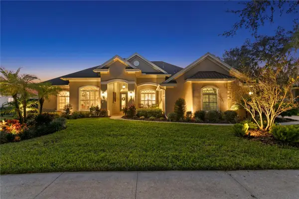 15817 Sorawater Drive, LITHIA, FL 33547