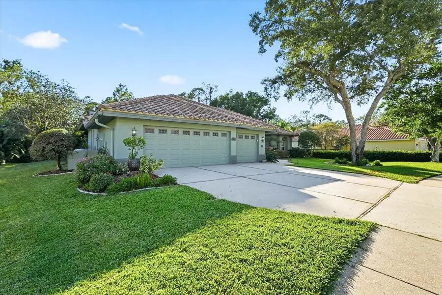 4954 Turtle Creek Trail, Oldsmar, FL 34677 - Image #3