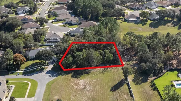 12014 Sapphire Drive, SPRING HILL, FL 34609