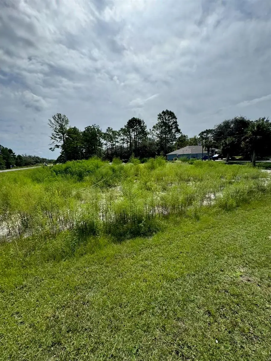 13142 Mottled Duck Rd Road, Weeki Wachee, FL 34614 - Image #3