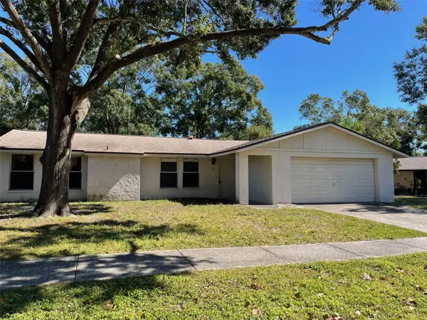 36 Valencia Circle, SAFETY HARBOR, FL 34695