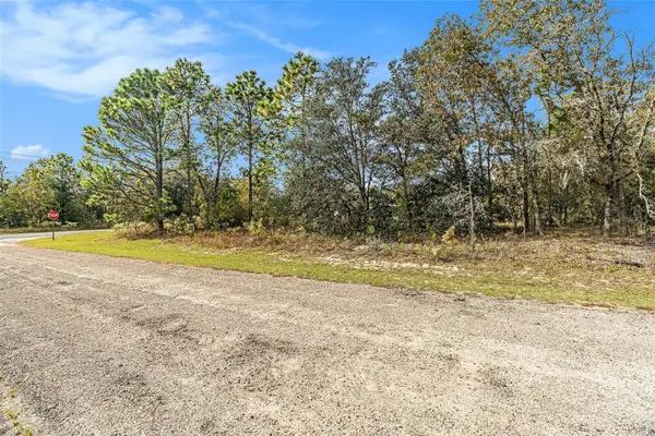 1541 W Riley Drive, DUNNELLON, FL 34434