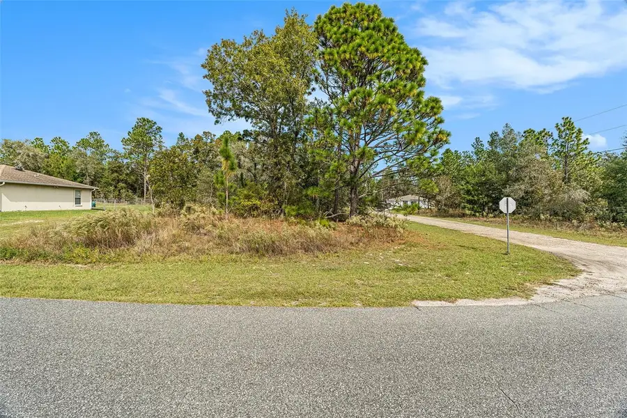 1541 W Riley Drive, Dunnellon, FL 34434 - Image #2