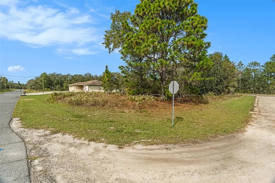 1541 W Riley Drive, Dunnellon, FL 34434 - Image #3