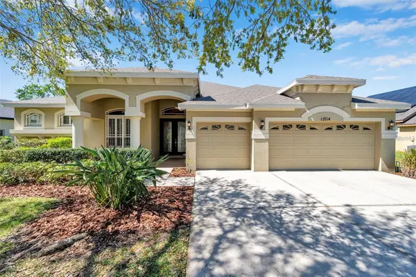 15714 Ibisridge Drive, LITHIA, FL 33547